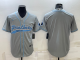 Men's Carolina Panthers Blank Grey Stitched Baseball Cool Base Jersey