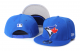Toronto Blue Jays Blue Cap