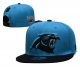Carolina Panthers Blue Cap