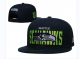 Seattle Seahawks Navy Cap